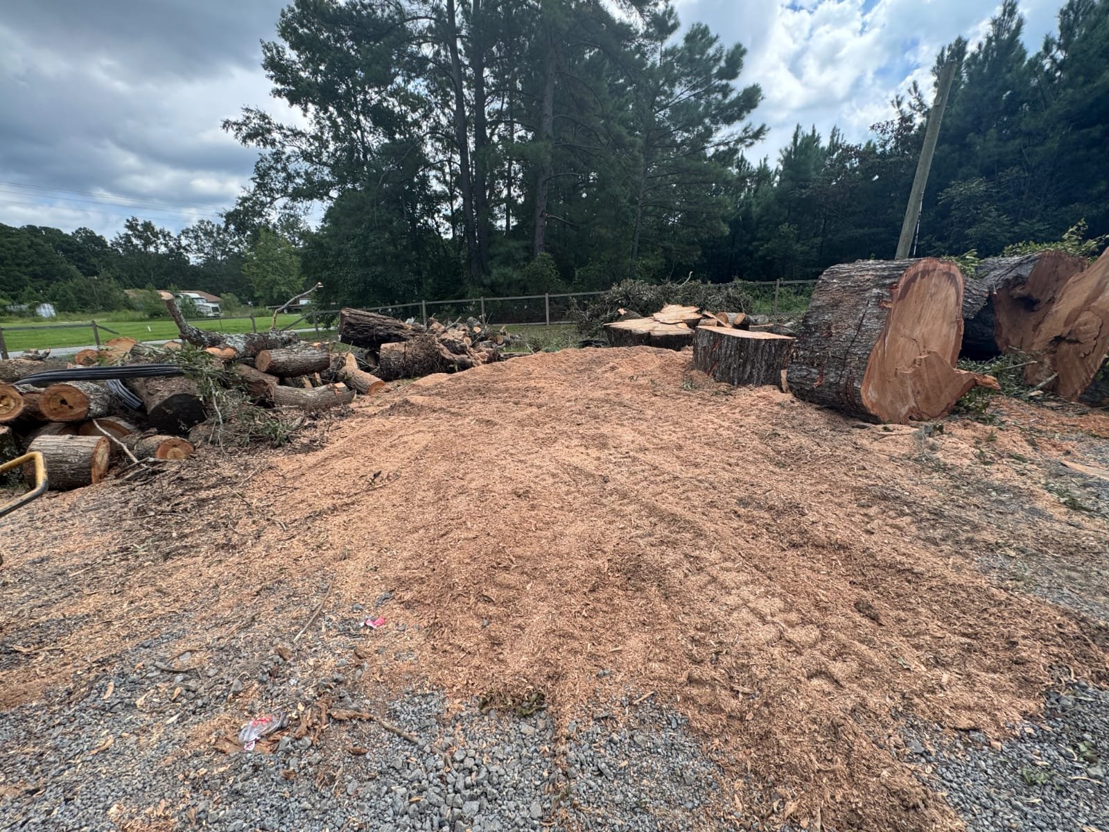Lion Tree Service and Landscaping LLC project photo 52